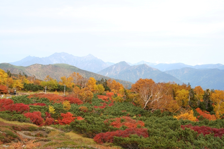 Autumn color Mt. Norikura Hotokureijin