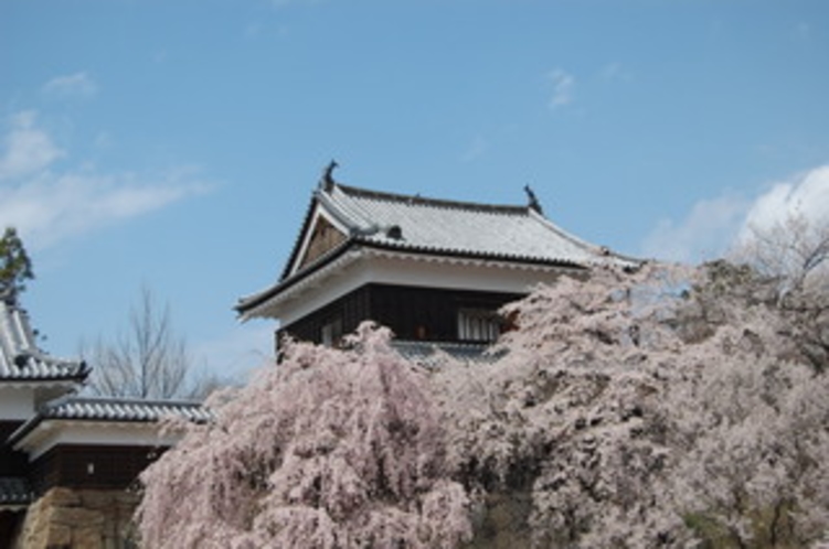 上田城の桜