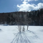 スイートルーム素泊まりスキー三昧プラン