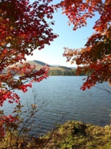 白樺湖と紅葉