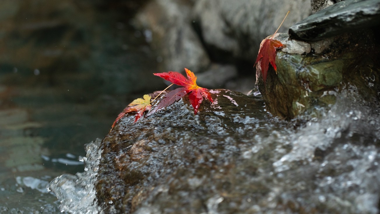 【特別価格】平日限定！部屋タイプおまかせでお得に宿泊（素泊まり）