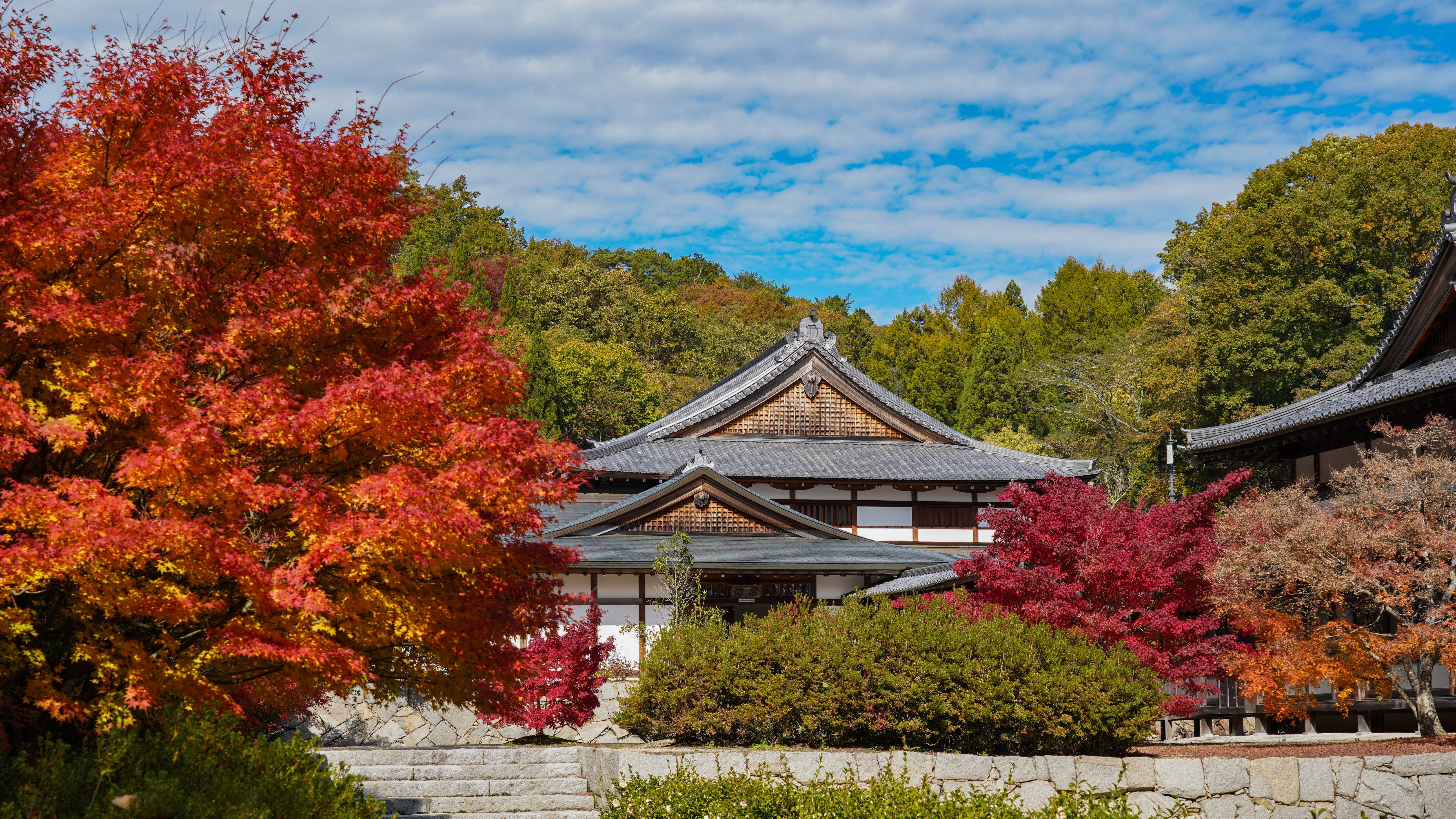 光信寺