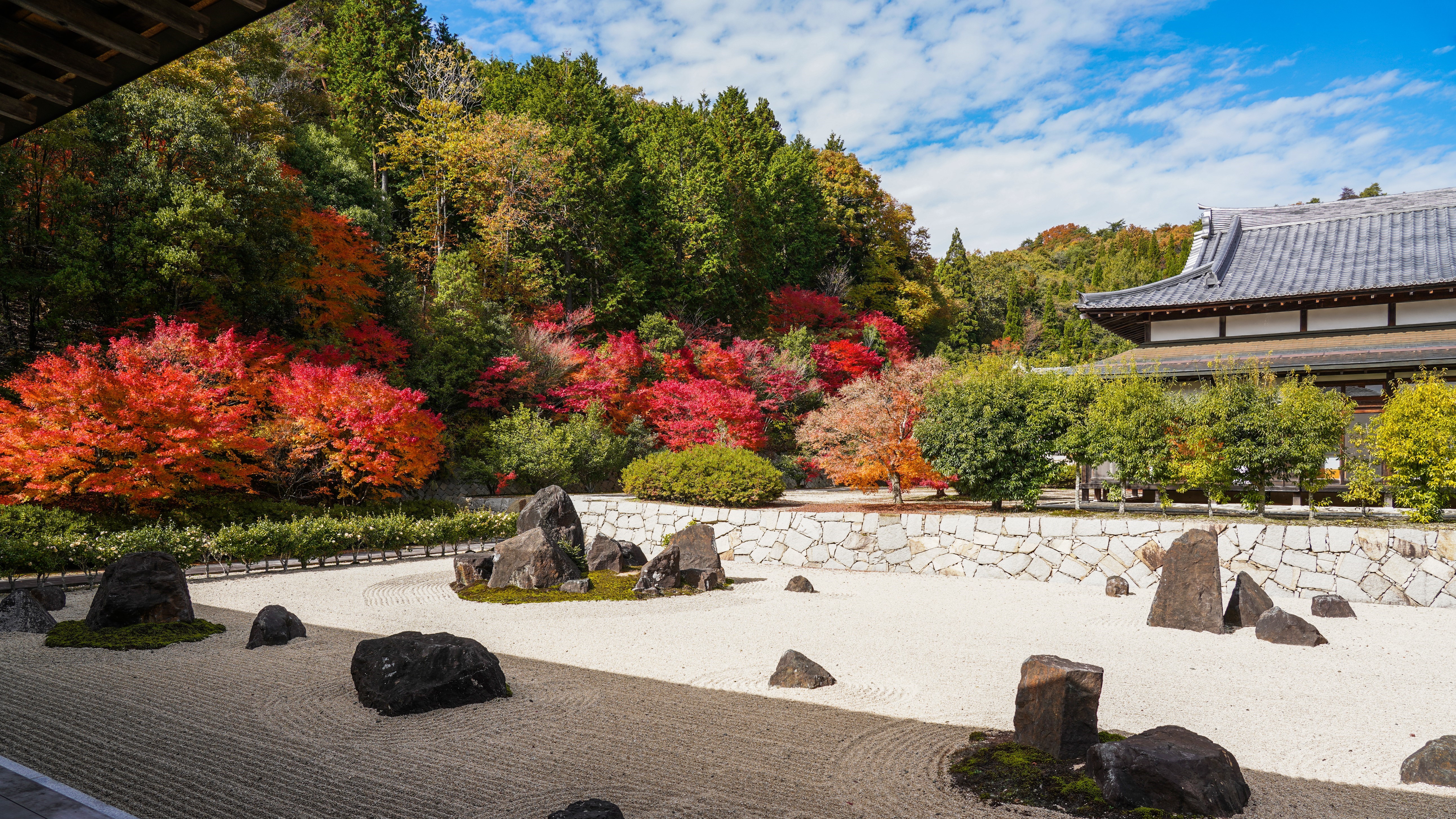 光信寺