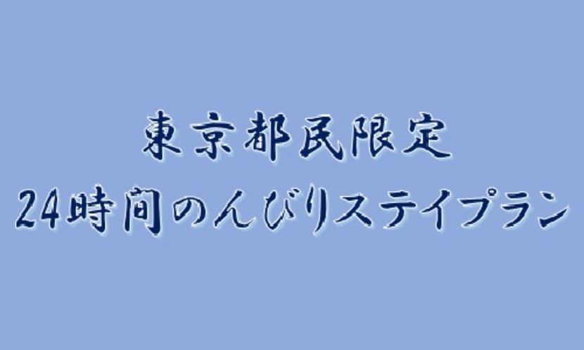 24時間ステイプラン