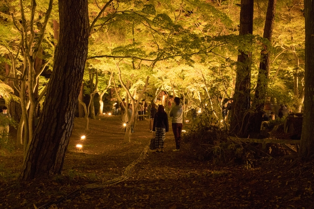 【期間限定２４日まで】紅葉名所「月の石もみじ公園ライトップ」夜さんぽプラン♪＜1泊朝食付＞