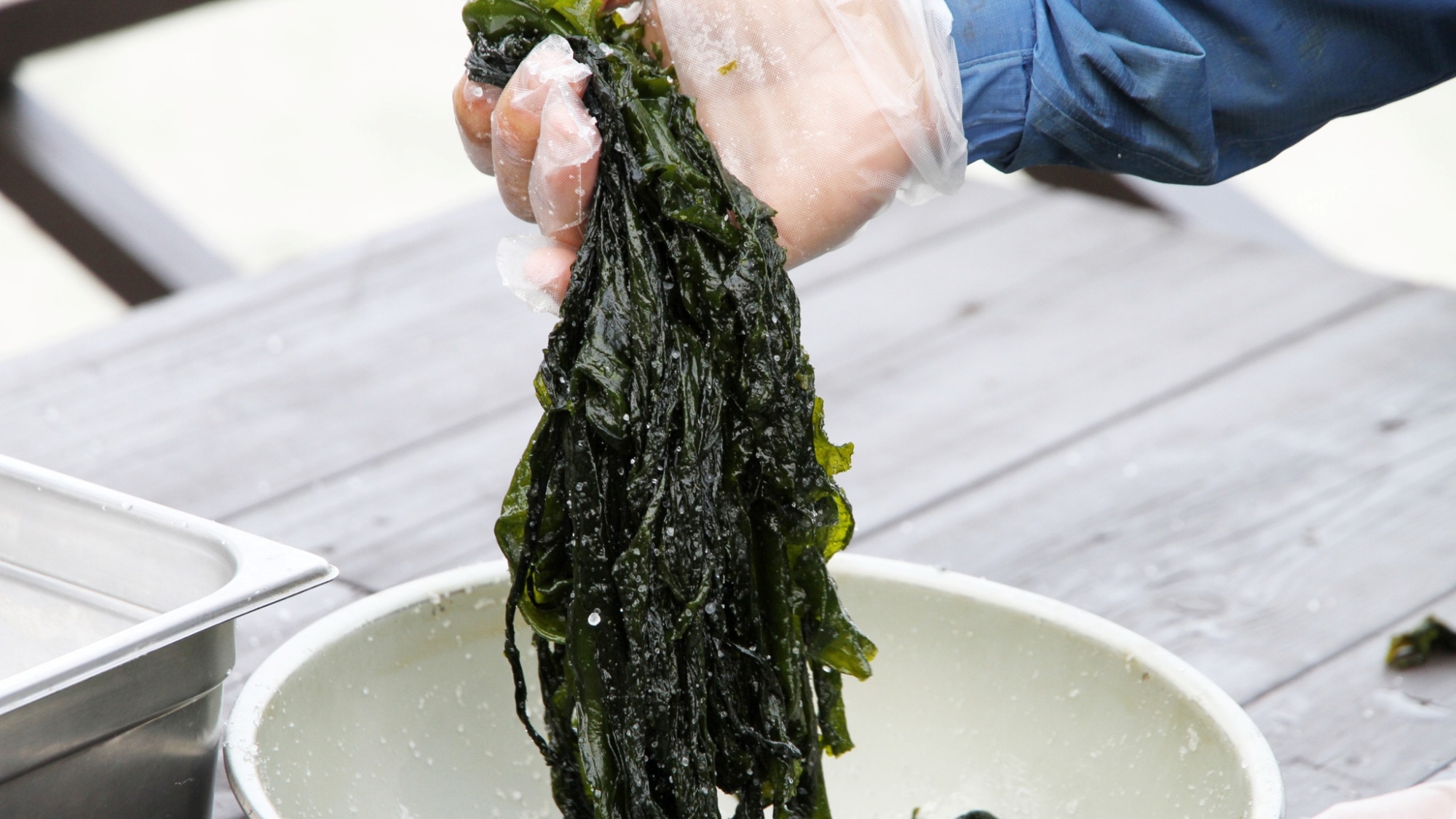 【1泊3食+体験付】本場！鳴門ワカメ塩蔵体験プラン/夕食　バイキング「彩」