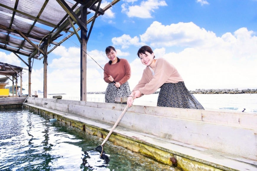 アオアヲビーチの釣り堀