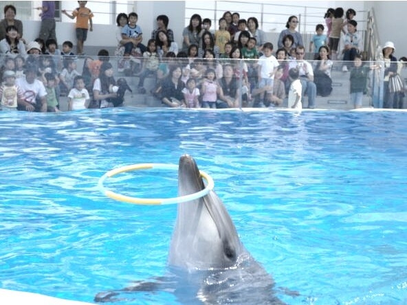 九十九島水族館「海きらら」 入館引換券付プラン●朝食付●