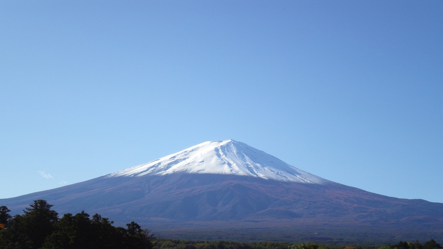 当館「富士山展望台」から仰ぎ見る富士山