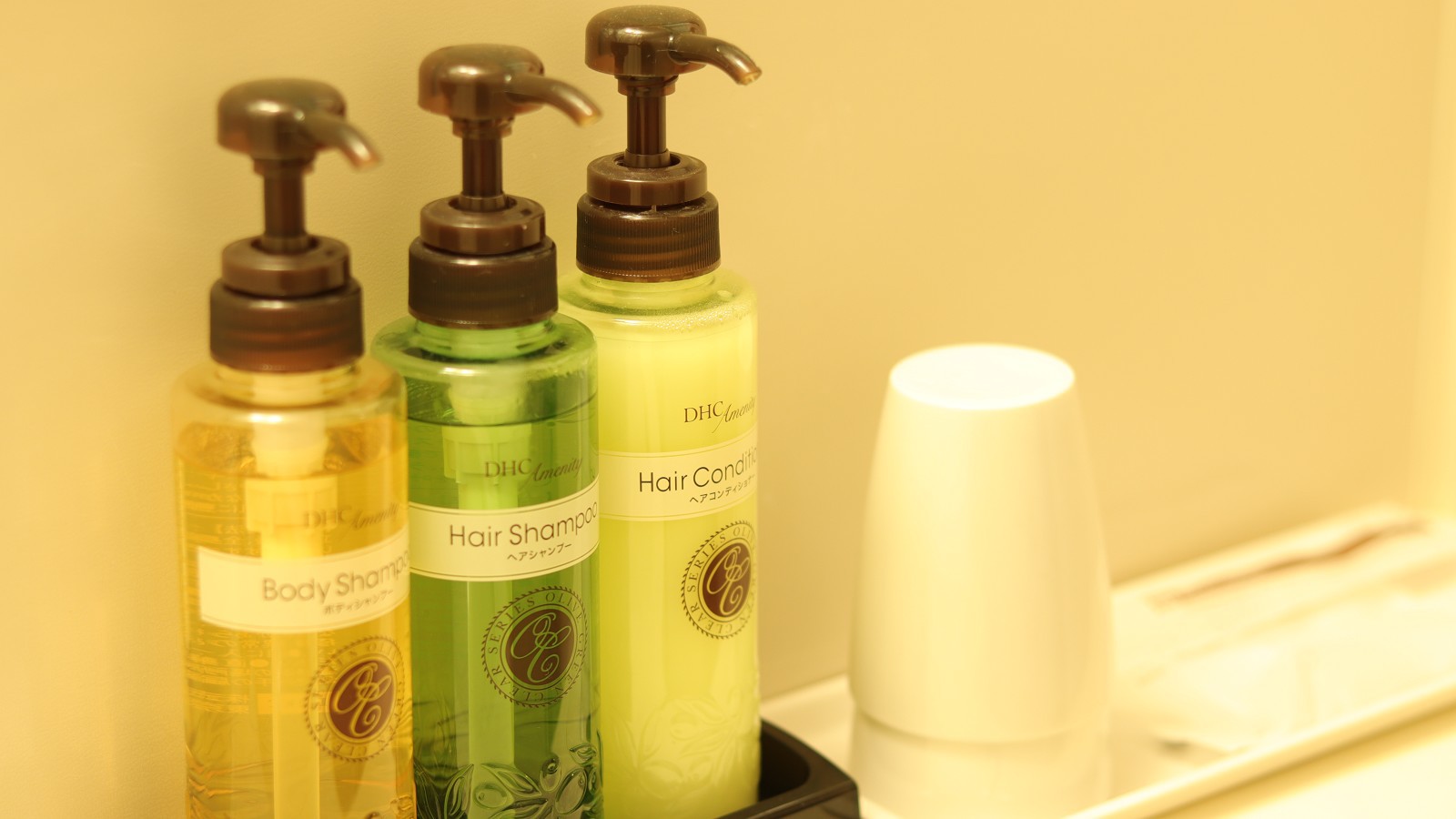 【事前決済限定◆5％OFF】スタンダードプラン《素泊まり》