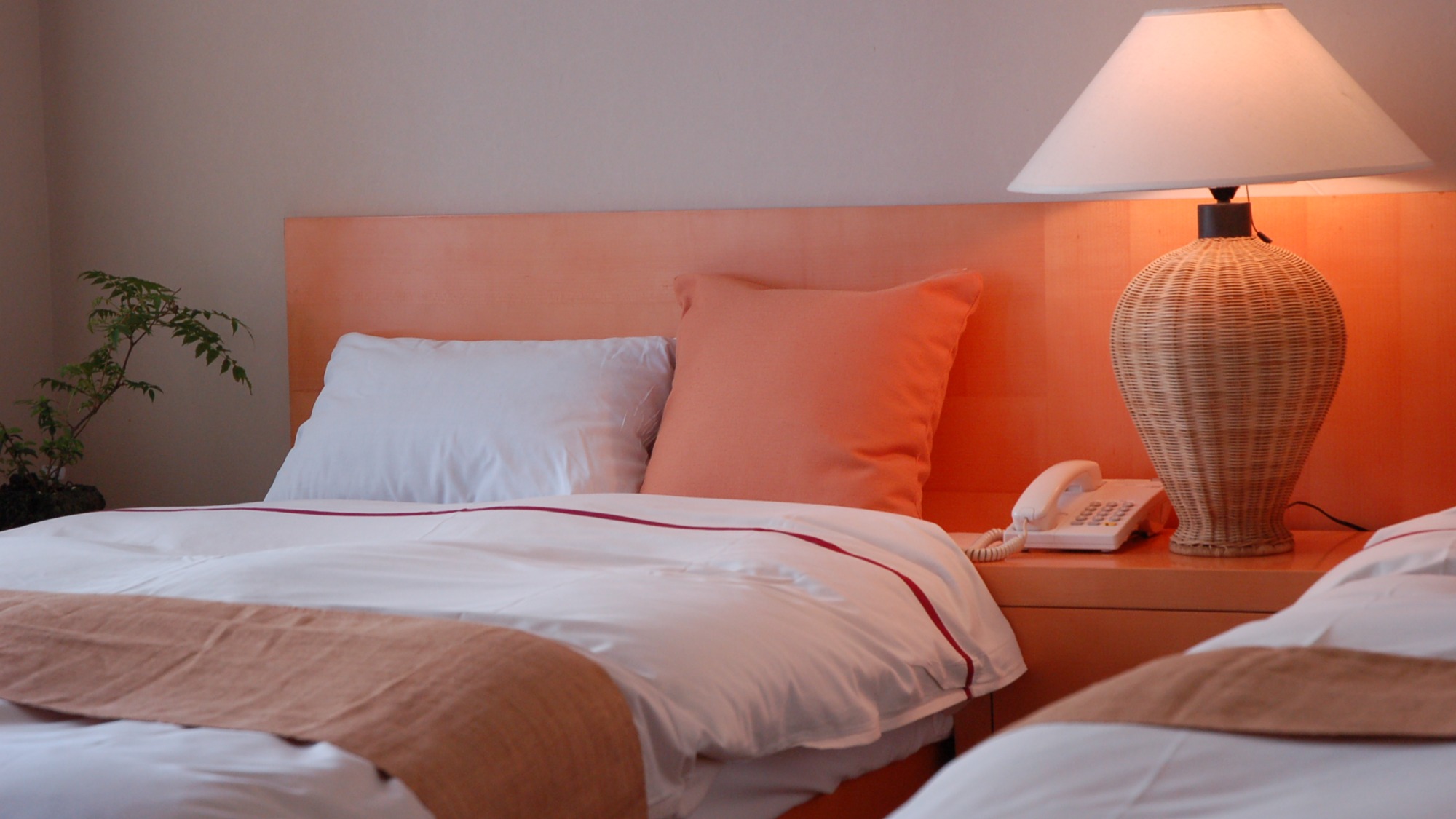 ツイン・和タイプ