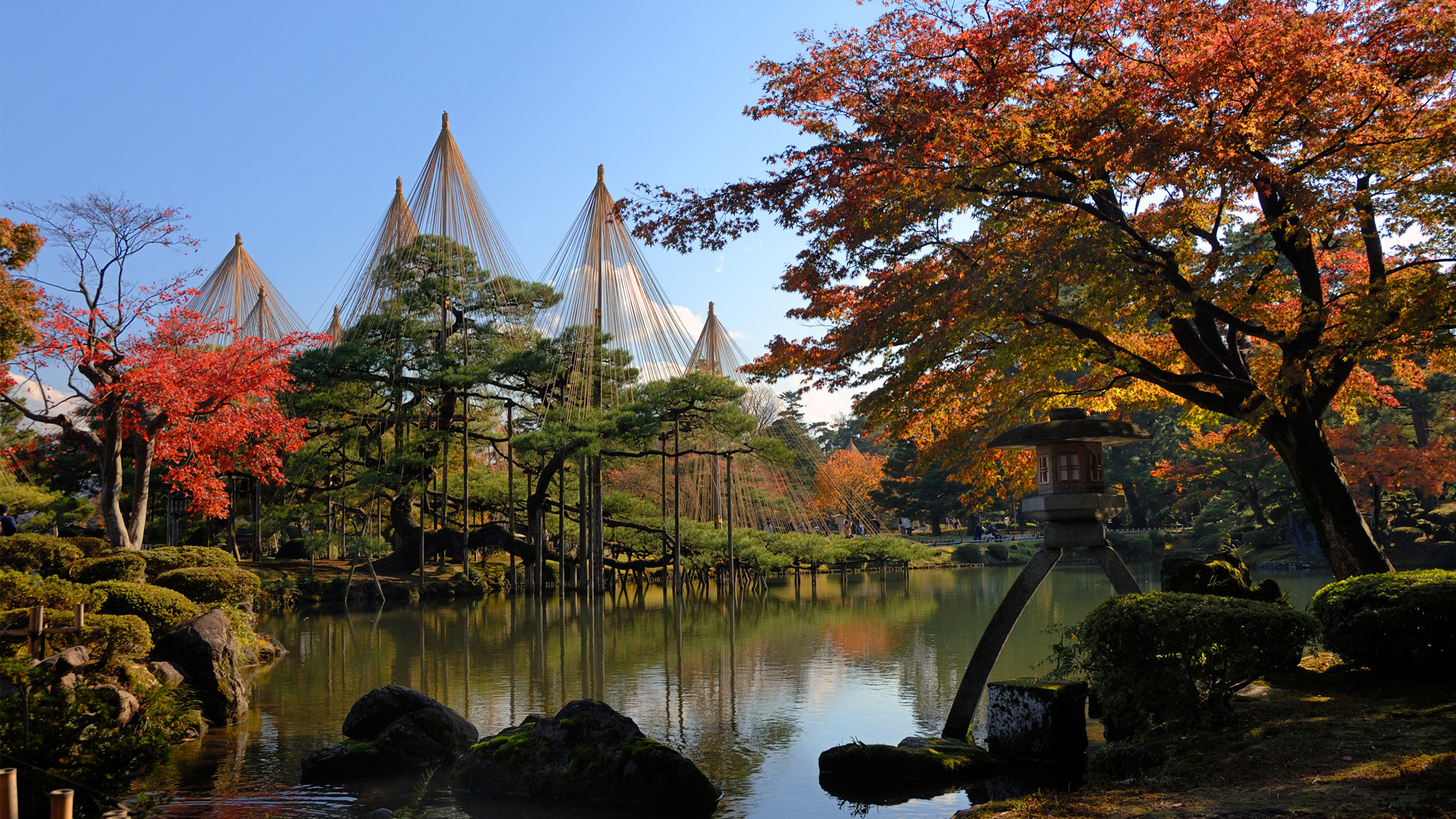 兼六園の紅葉（車で60分）