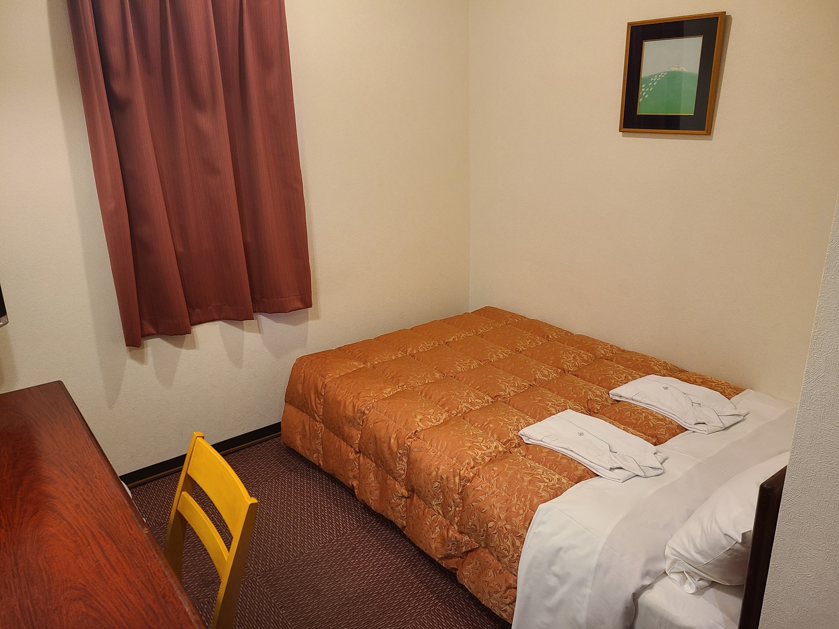 セミダブルルームを１名様で利用するタイプです