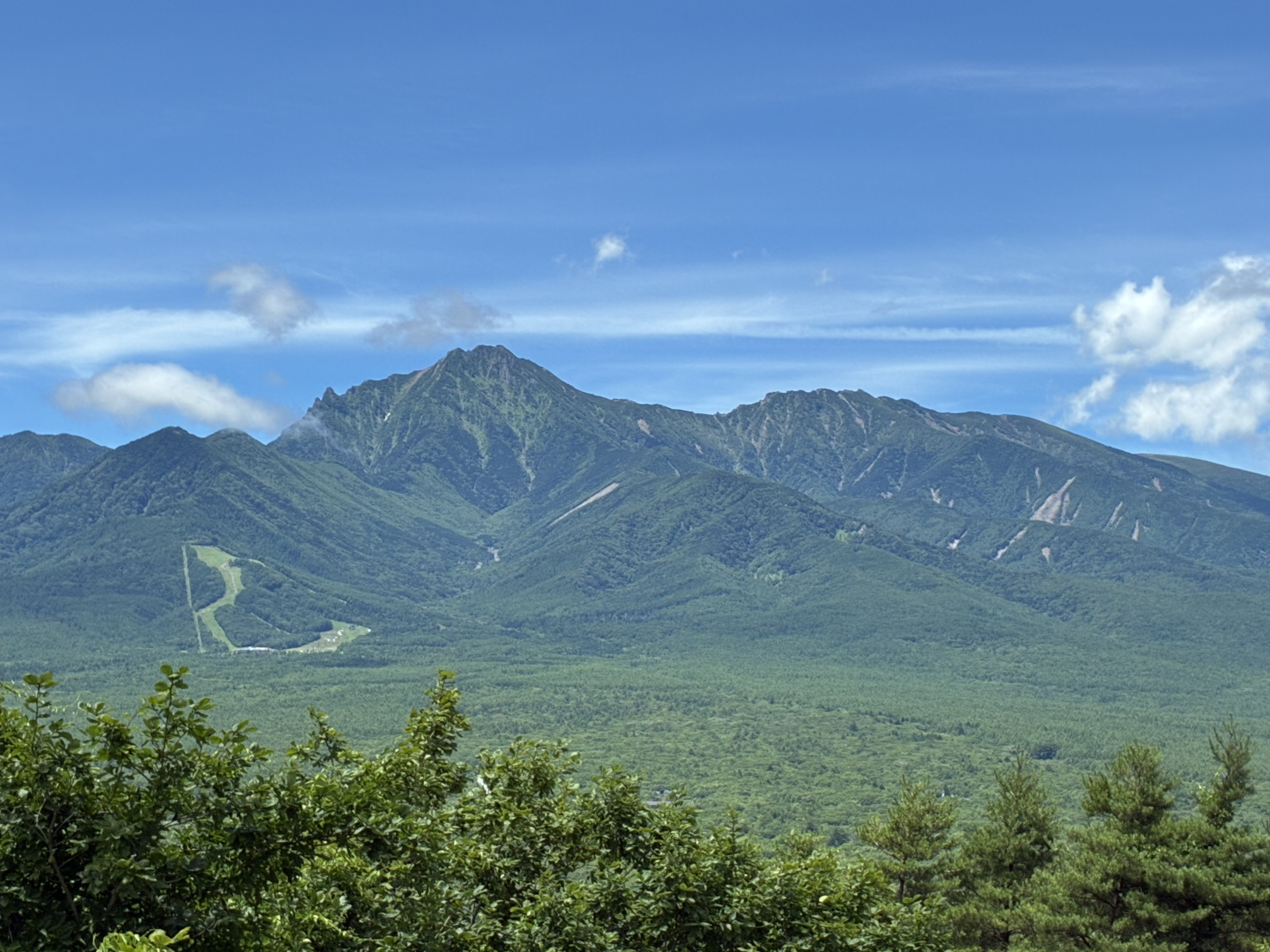 飯盛山、美しの森、八ヶ岳周遊に最高！