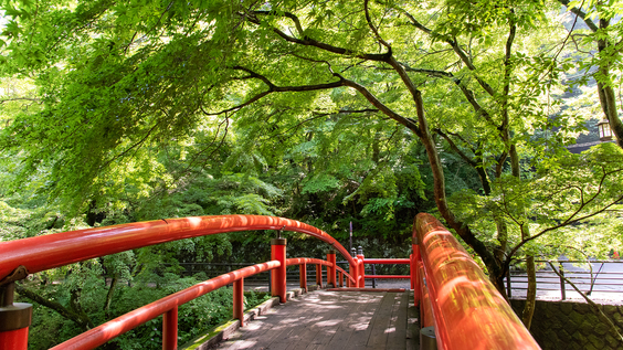 *周辺観光：夏の河鹿橋