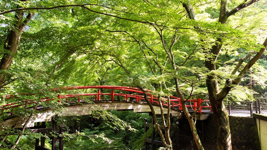 *周辺観光：夏の河鹿橋