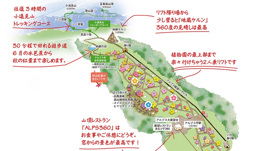 【MAP】白馬五竜高山植物園