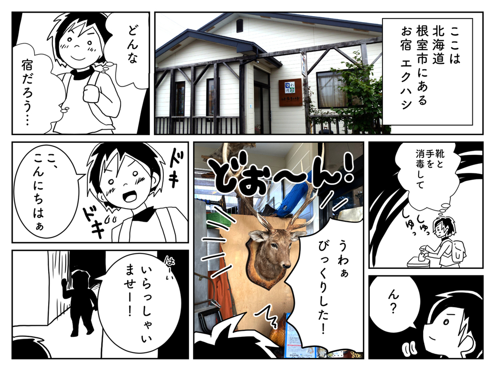 お宿 エクハシ 格安予約 宿泊プラン料金比較 トラベルコ