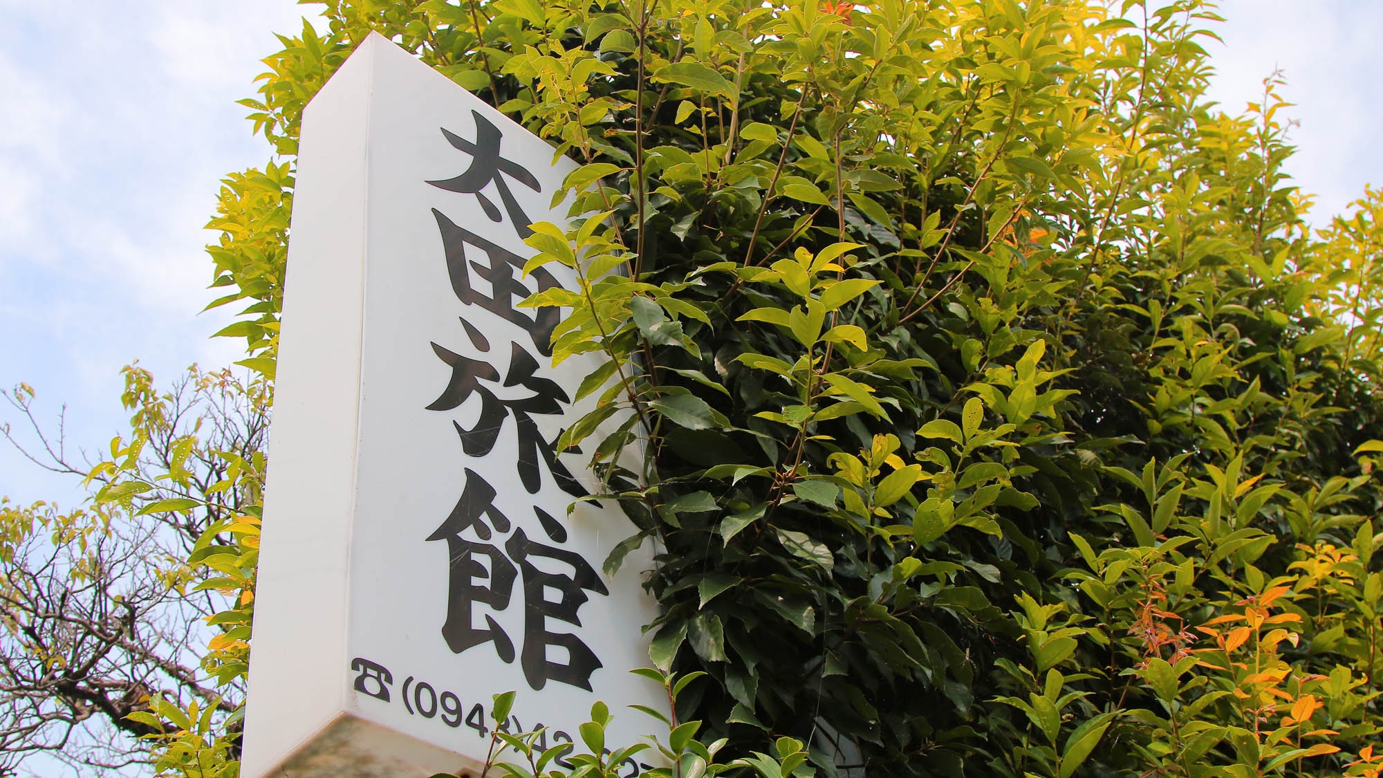 【年末年始特別SALE】2025年今年もお世話になりました。2026年もよろしくお願いします。