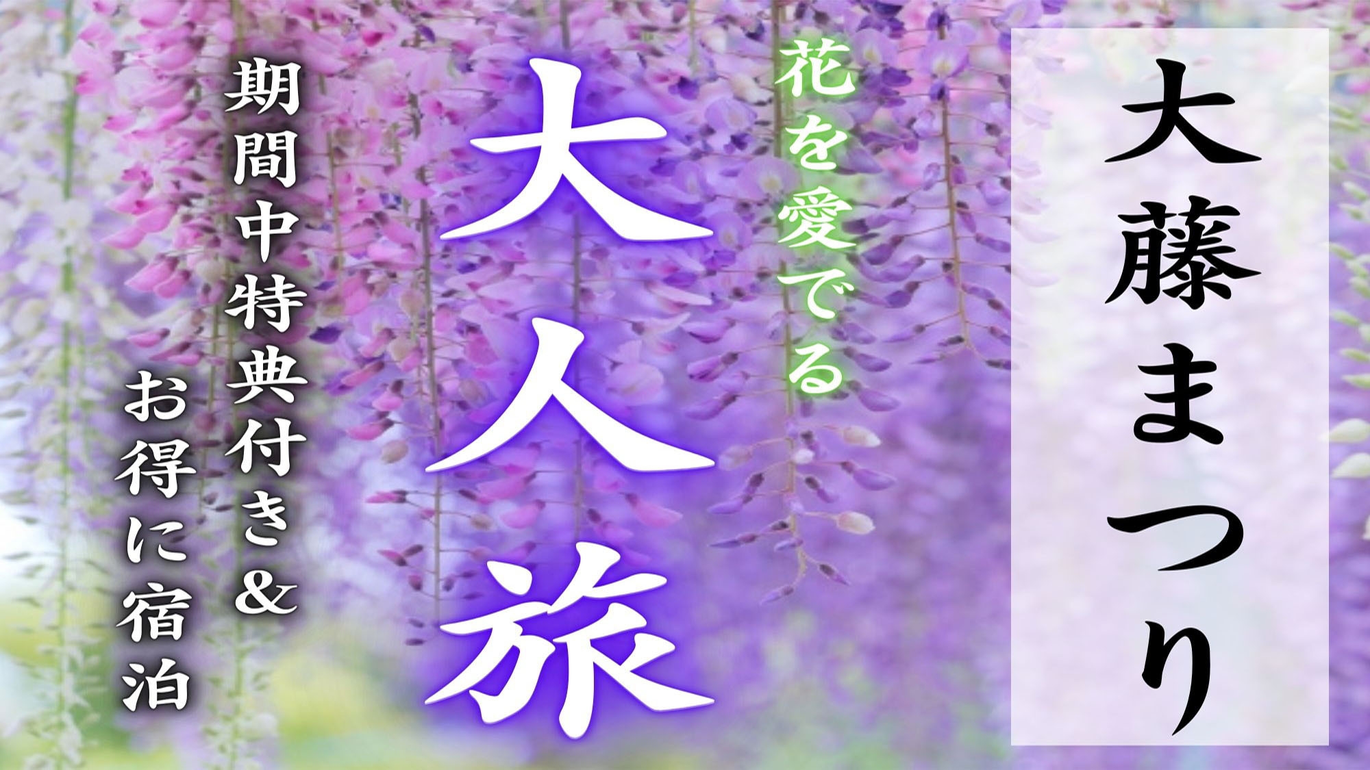 ●黒木大藤まつり開催★限定特典付●花を愛でる大人旅♪期間中特典＆お得に宿泊！