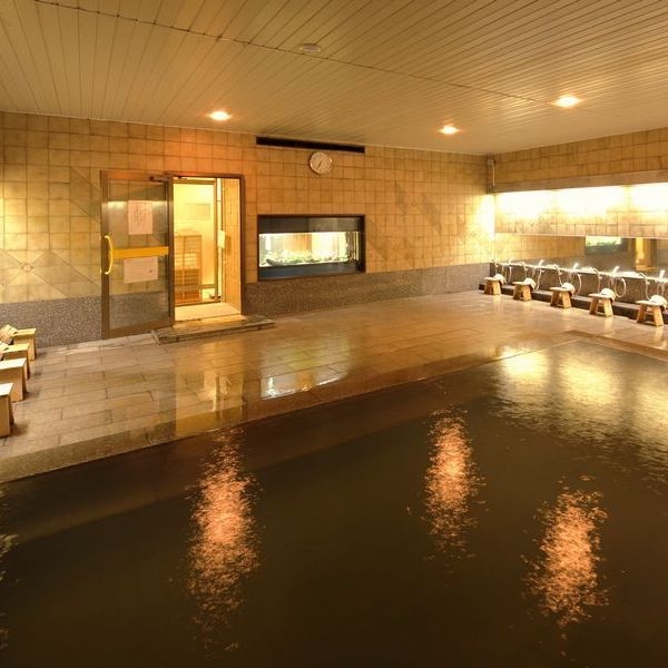 【楽天スーパーSALE】5％OFF☆ポイント2倍☆素泊まり☆深夜も入れる天然温泉大浴場あり♪ 