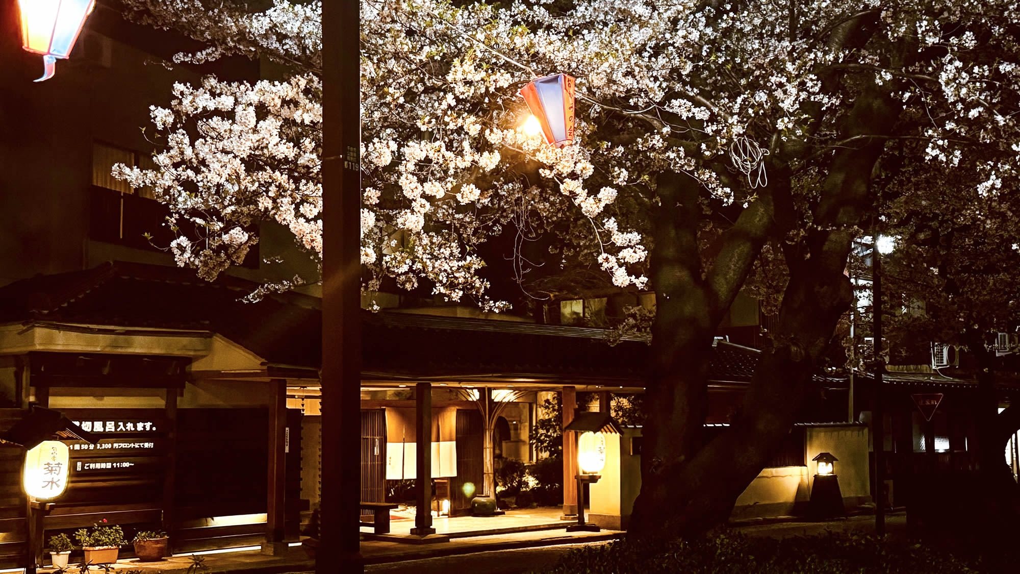 【春のお得旅】≪4月限定≫旬の味覚と春の夜風と楽しむ庭園露天＆姉妹館の湯めぐり≪現金特価≫