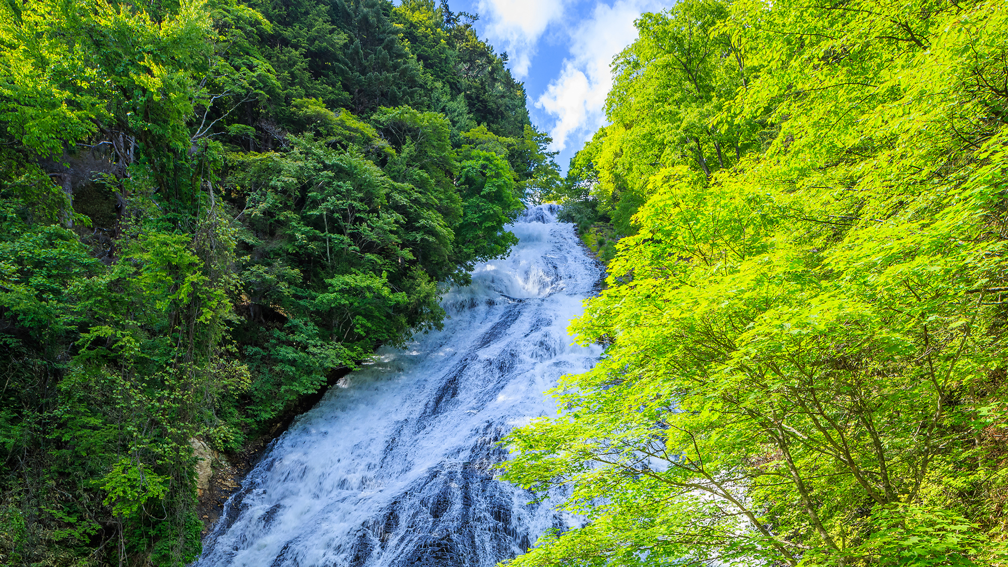 **【湯滝】湯ノ湖の南端、溶岩流の岩壁から湖水が流れ落ち、滝壺からは迫力ある姿を眺められます。