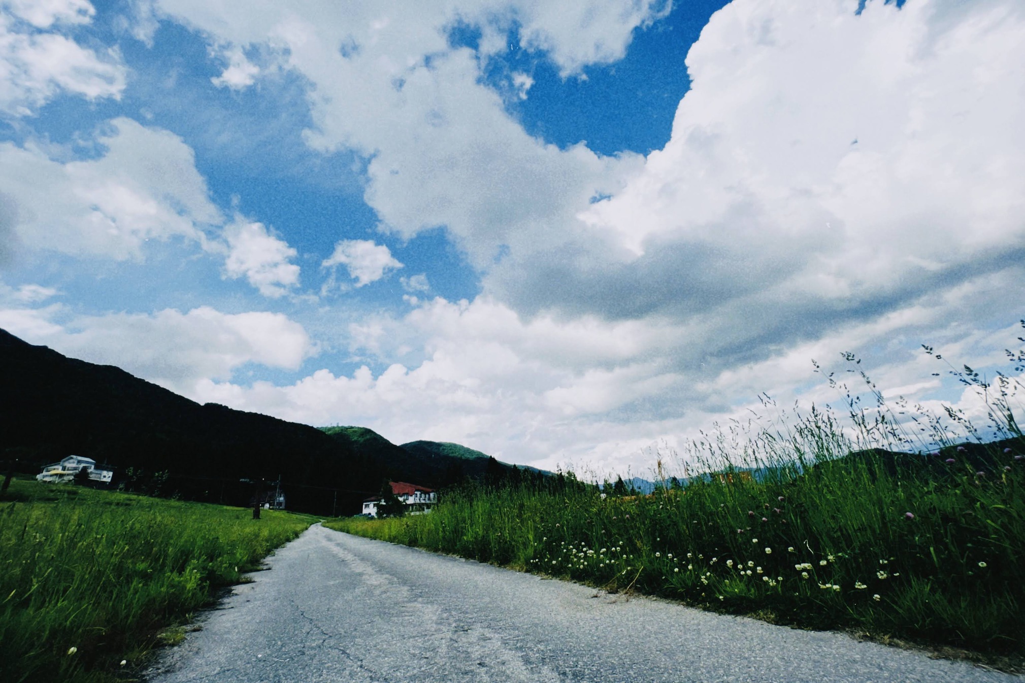 風景