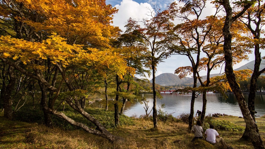 【紅葉】赤城山（見ごろは１０月下旬から１１月中旬頃となります。天候などで前後します。）