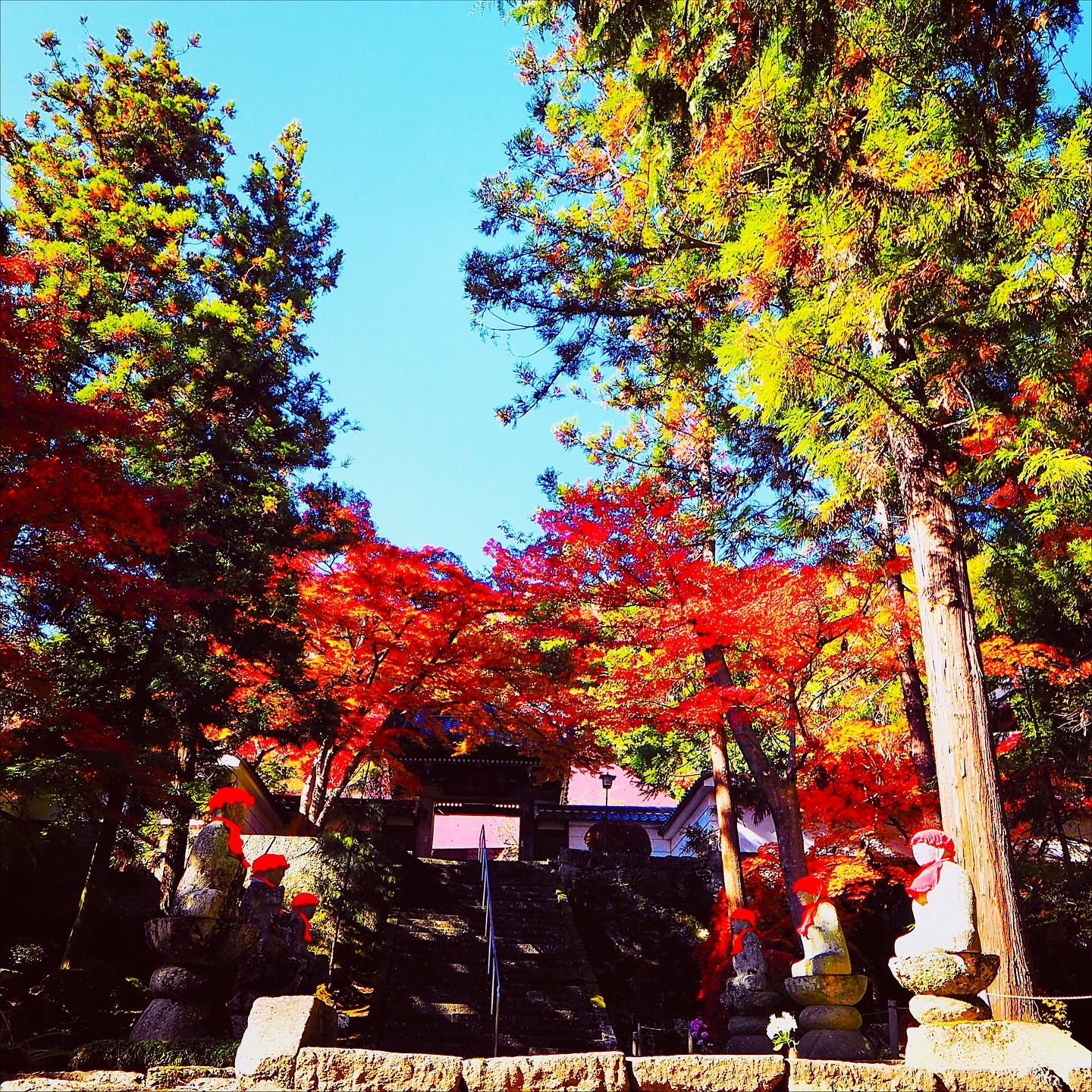 千曲市紅葉狩り龍洞院　