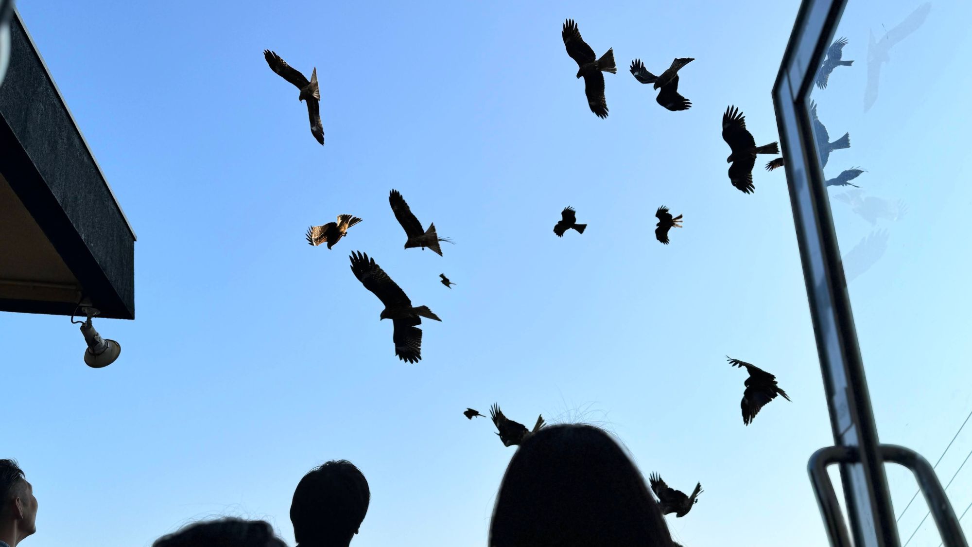 【さき楽21】ご夕食は海の幸に恵まれた伊勢志摩の新鮮な魚介を味わう「海幸会席」【1名様1100円引】