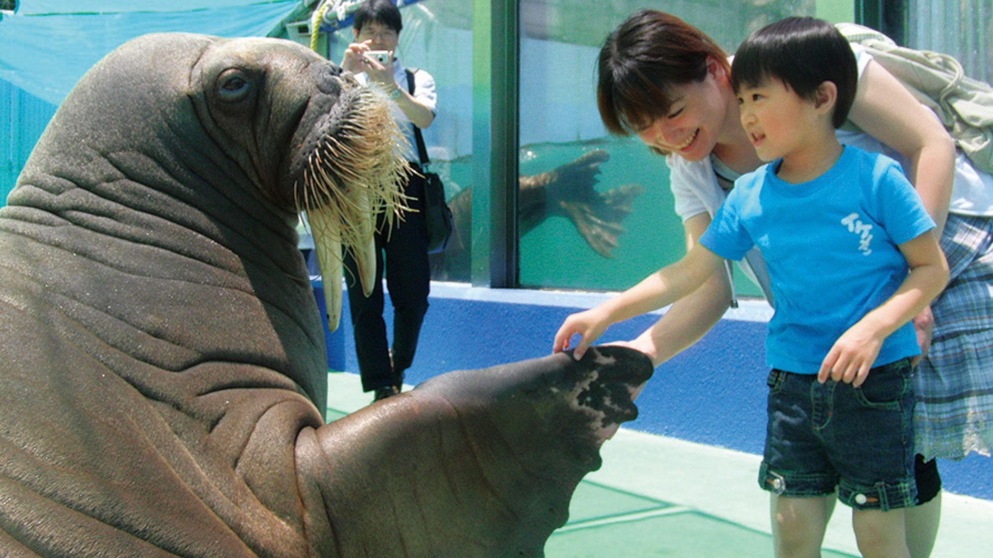 【松花堂弁当（夕食）お部屋入れプラン】スペイン村で時間を気にせず楽しんで花火を見てからでも大丈夫♪