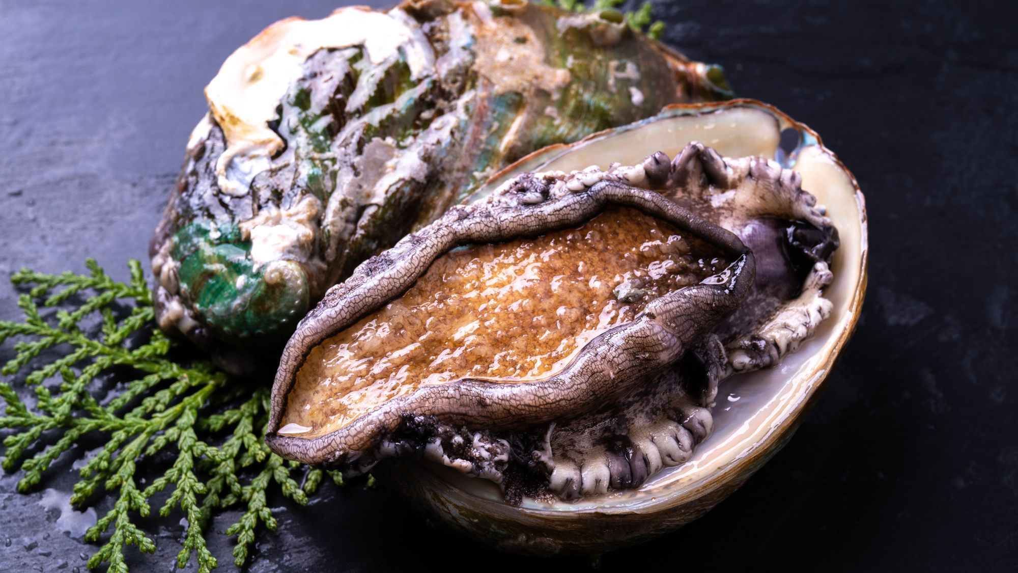 【デラックス会席プラン】鮑踊り焼き×伊勢海老（姿焼き×お造り）☆心と体を癒す贅沢な時間のお共に♪