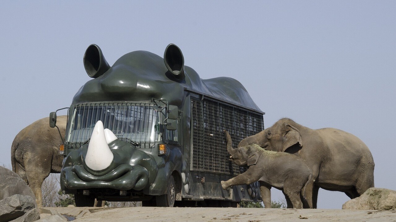 九州自然動物公園　アフリカンサファリ 02