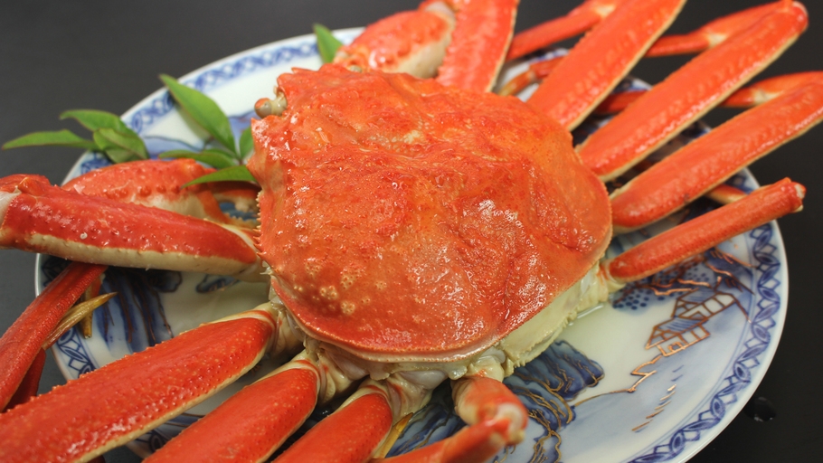 『イチオシ』満腹カニフルコース×冬の贅沢≪香住産松葉ガニ≫茹で蟹丸ごと1杯姿付〔お一人様2.7杯分〕