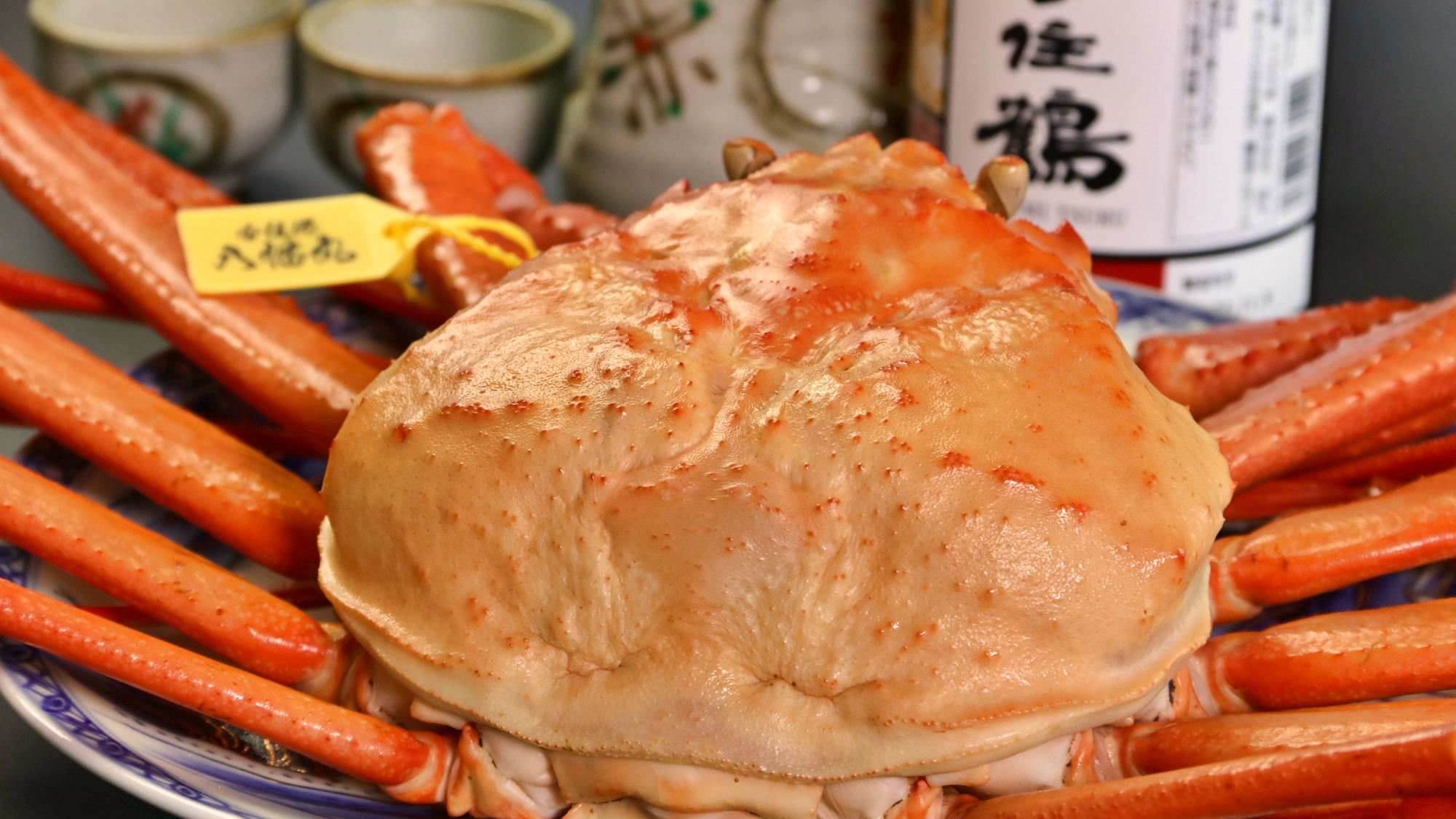 【海の幸プラン】夏季限定のプランです