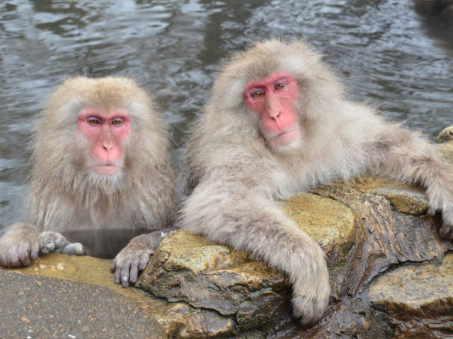 チサングランド長野 - 写真 114