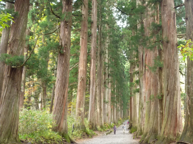 チサングランド長野 - 写真 115