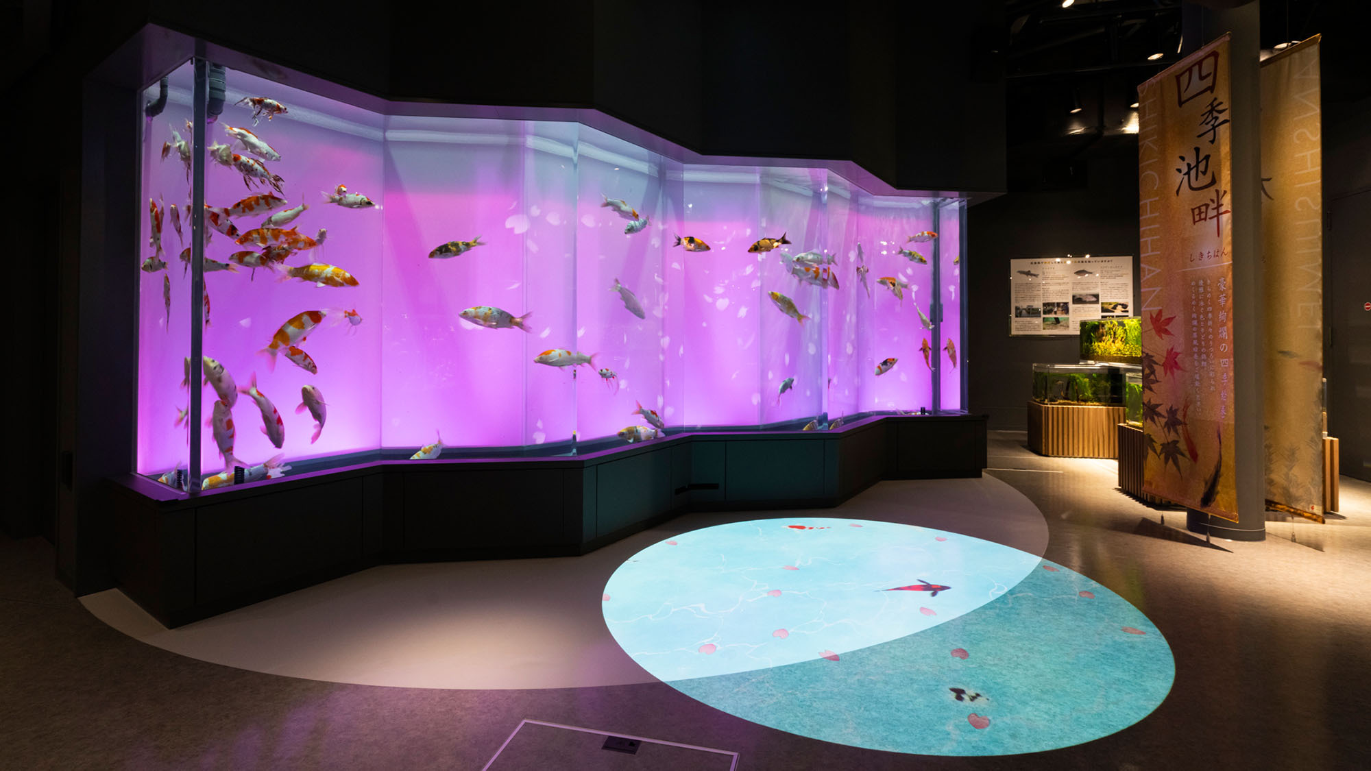 ★中四国在住者限定★【水族館チケット＋お子様お得プライス】夏の家族旅行を応援！／雅膳‐基本プラン