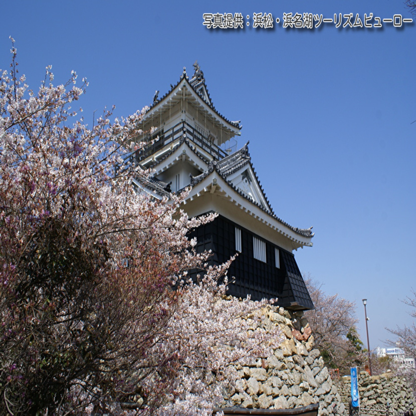 桜の浜松城