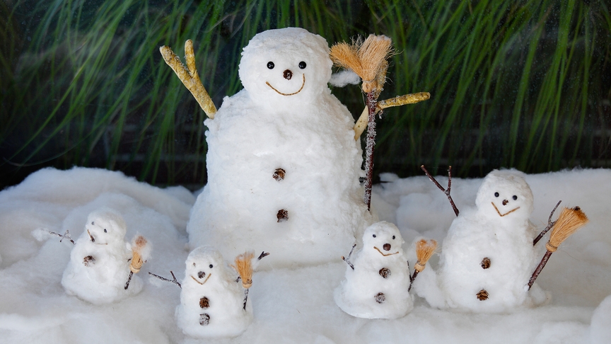 【冬の家族旅行応援】お子様が半額！冬の宮城を遊びつくそう！！添い寝・貸切風呂無料でもっとお得☆