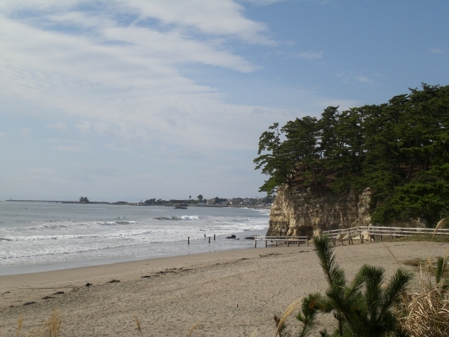 写真4