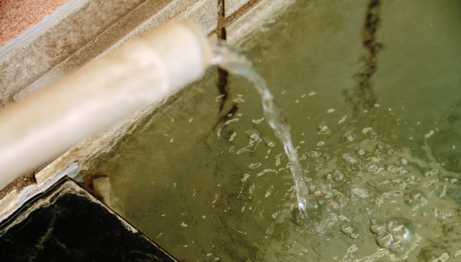 花咲温泉 花咲の湯（アルカリ性 単純温泉）