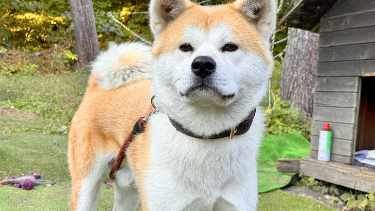 【素泊り】安心して気兼ねなく仲間や家族で過ごせる♪尾瀬・片品の大自然を自由に満喫