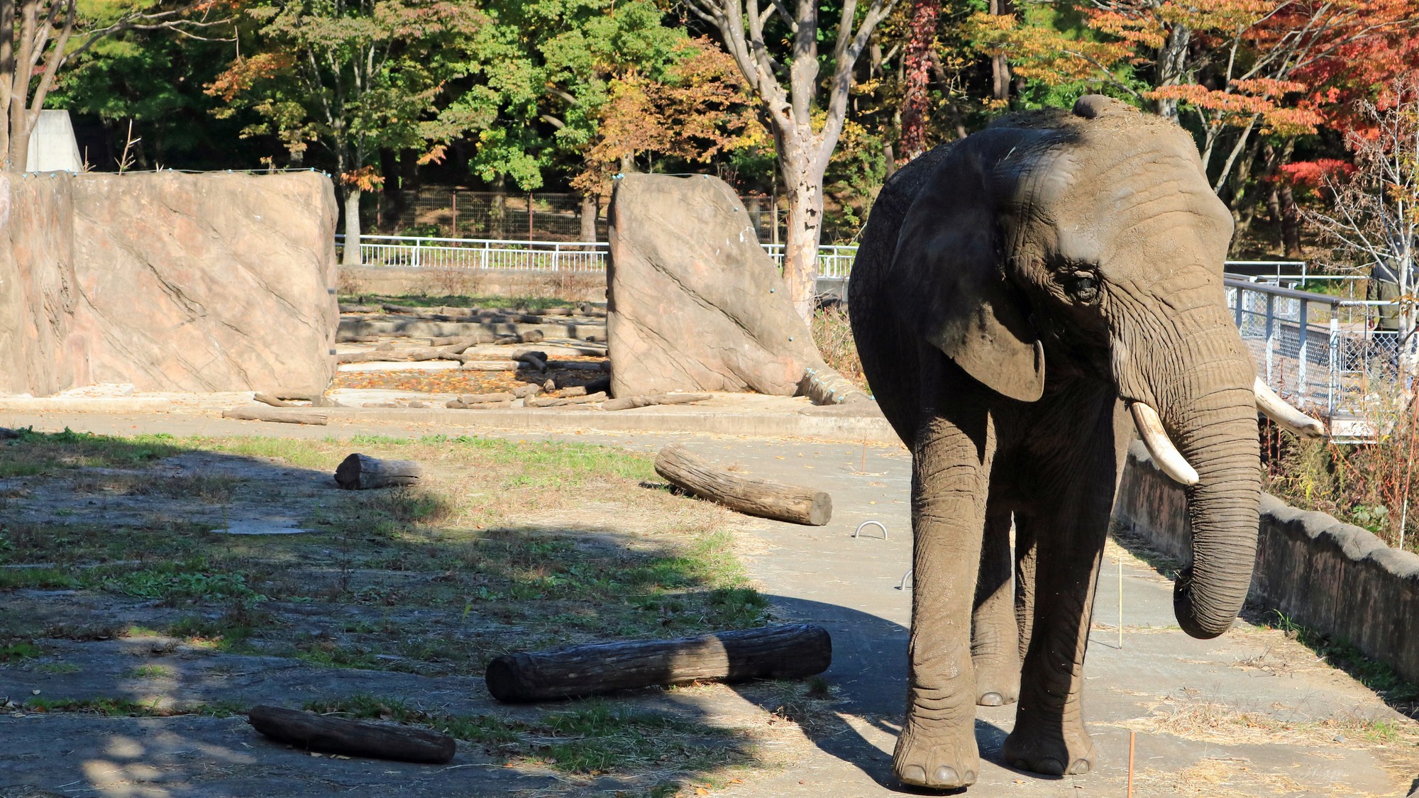 盛岡市動物公園