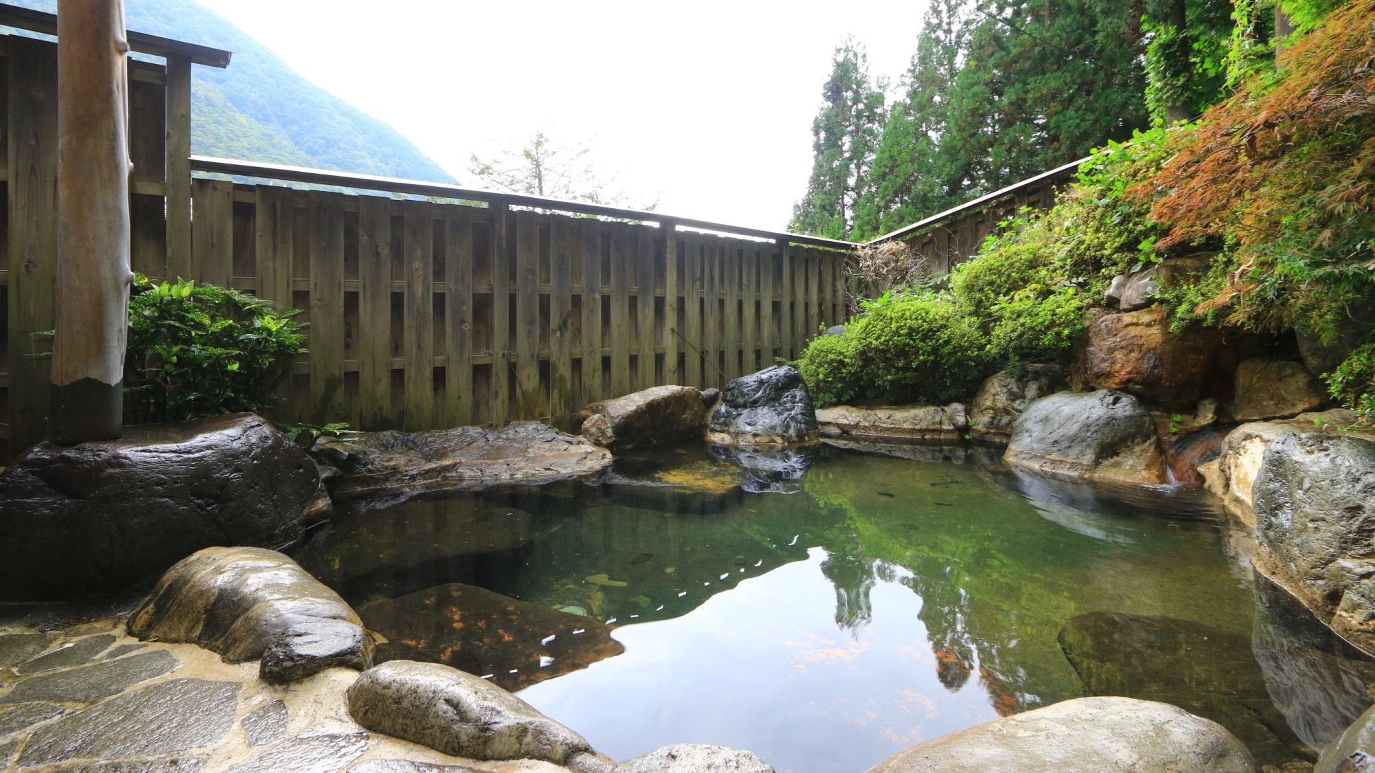 温泉_女性露天風呂：四季折々の自然と満点の星空が楽しめます