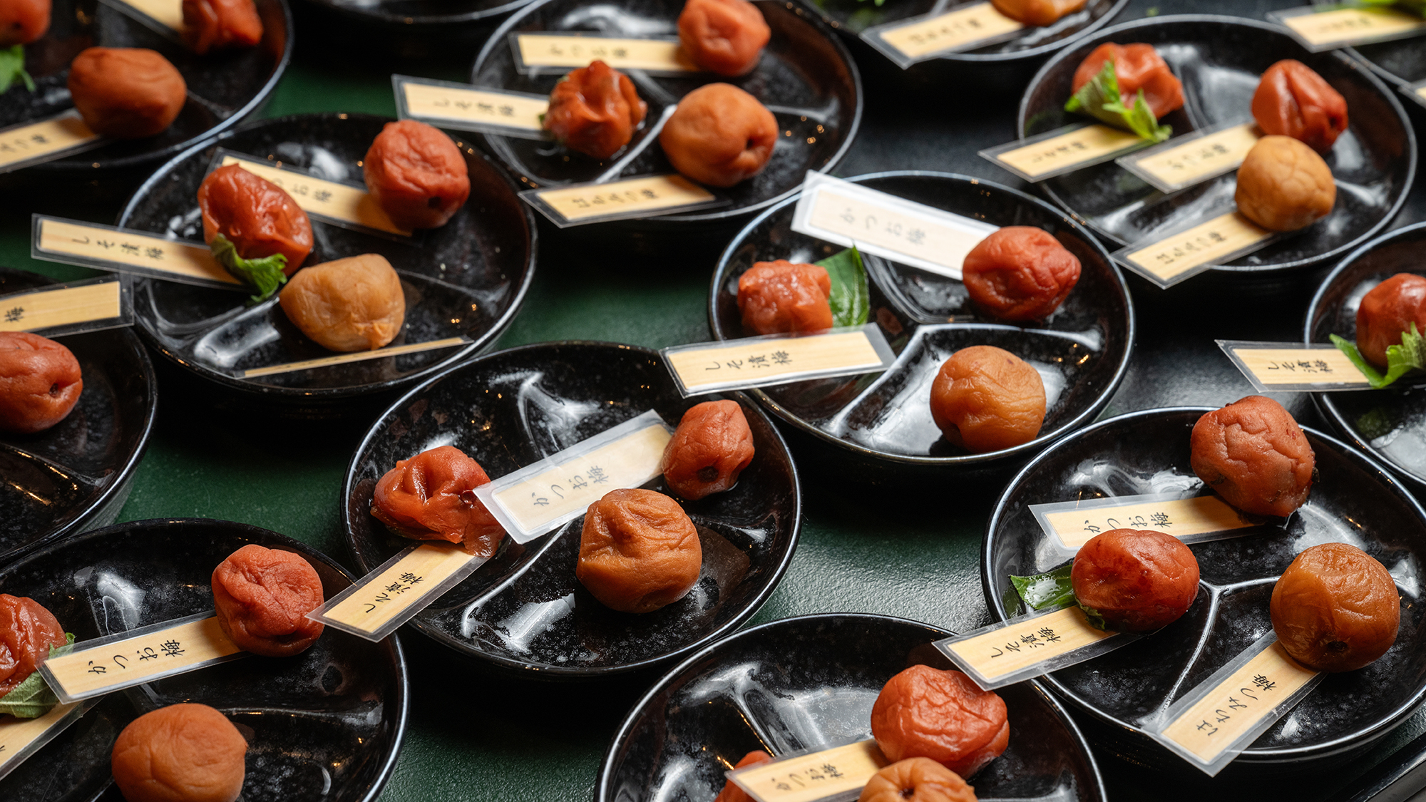 【ダイニングーMiyaginoー】