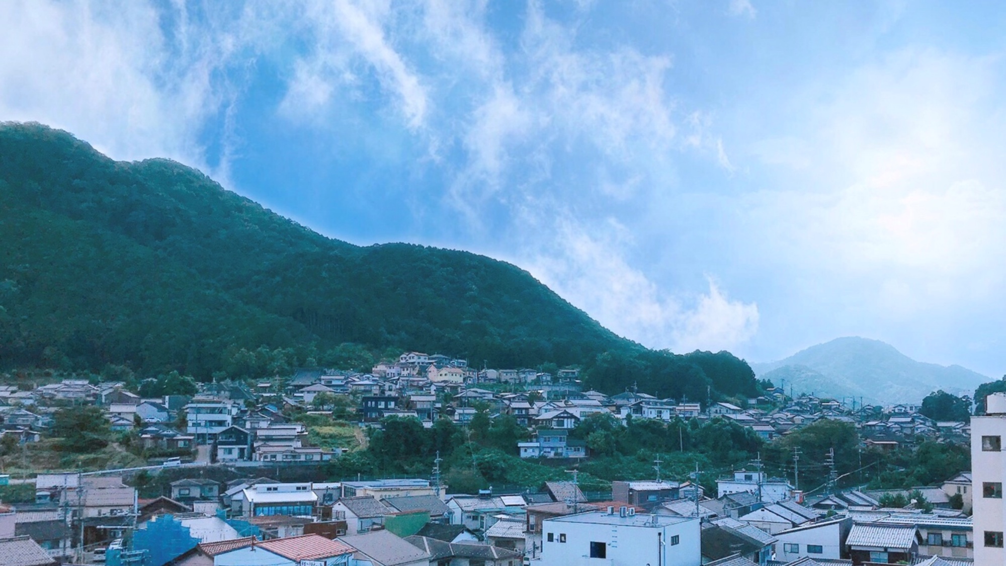 客室からの眺め（山側）