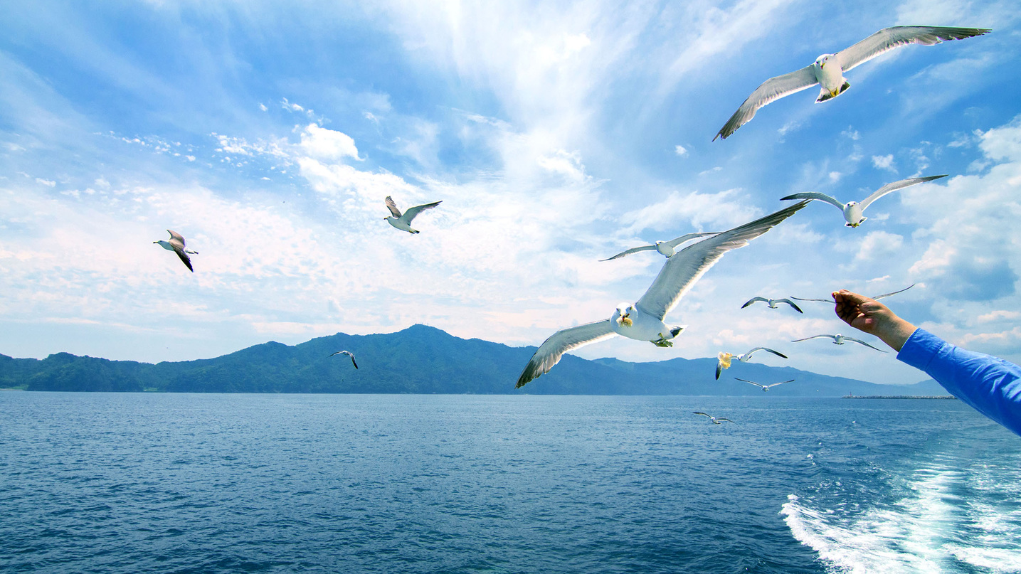 宮古市の新たな遊覧船「宮古うみねこ丸」乗船券付ビュッフェプラン