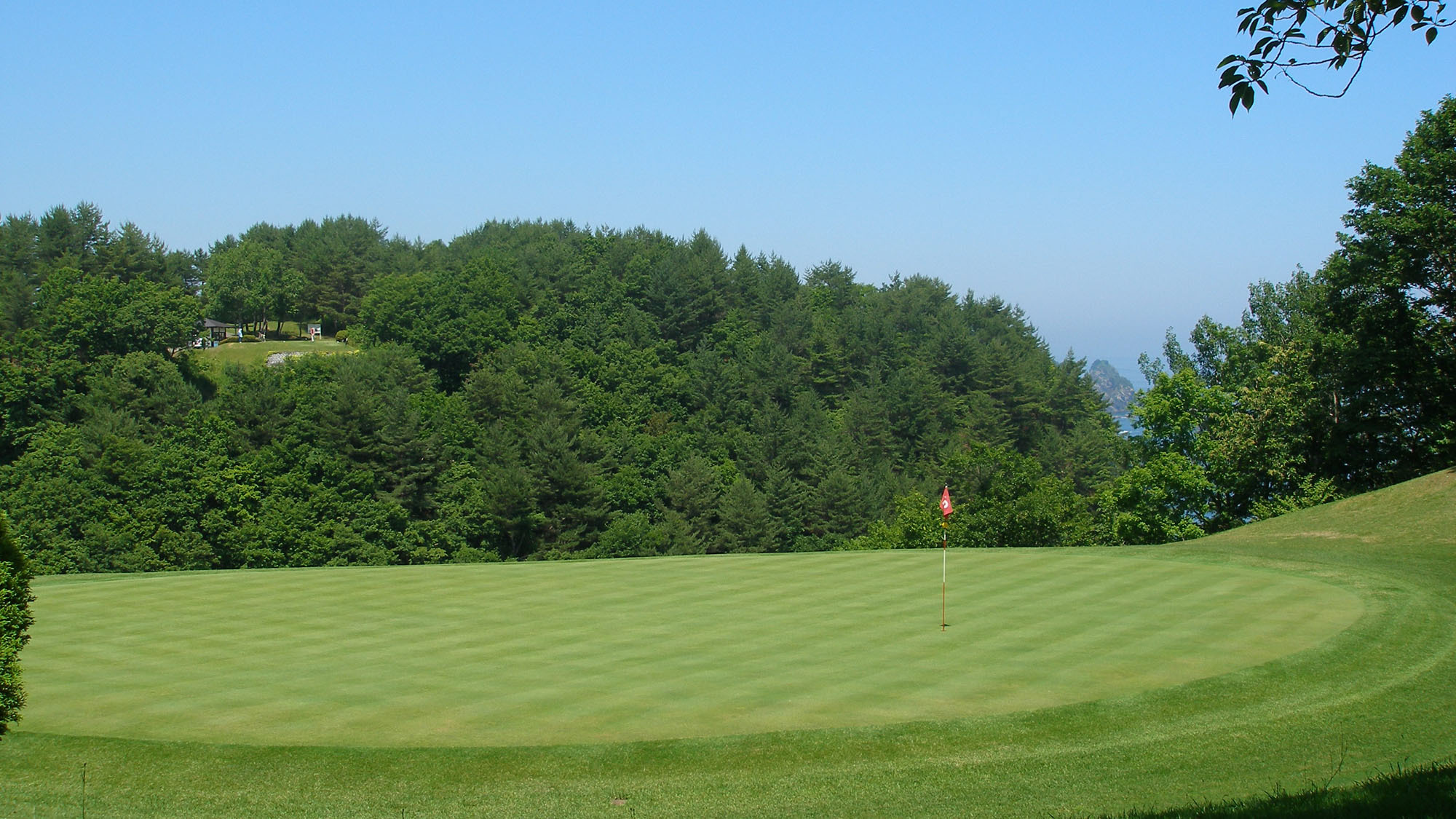 【ゴルフ／平日プレー】幻の海越えコースも！GOLFとグルメ★夕食は和洋ビュッフェを堪能